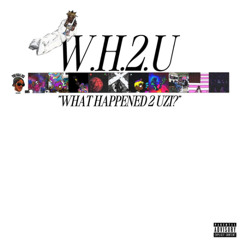 Lil Uzi Vert - Forget | W.H.2.U (What Happened 2 Uzi)
