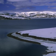 7038634357 - Sink✾