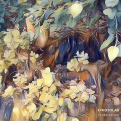 Wicked riddim instrumental