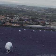 SH££P (OG Version)