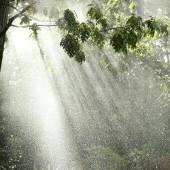 Sunshower