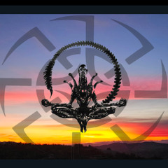 eMastered_SoMuchJoyBASSMECHANICBPAnnNesby 2_HD (Cover)