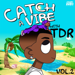 catch a vibe with TDR (vol.2)