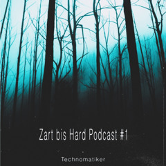 Zart Bis Hard Podcast #1
