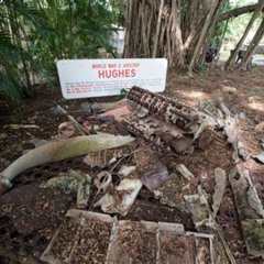 Best Bombing Of Darwin World War Ii Tour With Harbour Cruise Tours Review