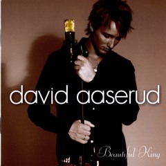 Stream David Aaserud music | Listen to songs, albums, playlists 