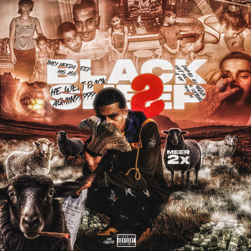 Black Sheep 2