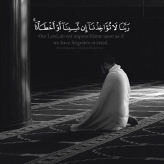 أواخر سورة البقرة-القارء طارق محمد💙