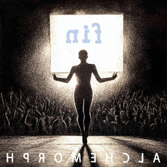 Fin