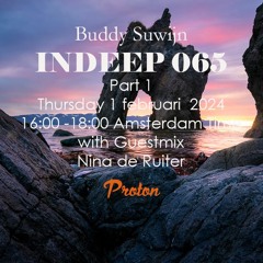 Nina de Ruiter Guestmix INDEEP 065 februari 2024 @ PROTONRADIO