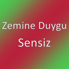 Sensiz