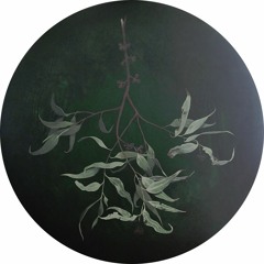 That which I think to be myself is but infinite number [Wodwo/Boson Spin Collab]
