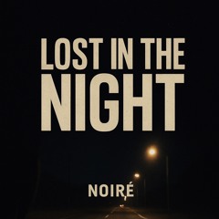 Lost In The Night