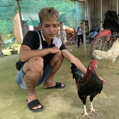 jet trắng ae Lâm Đồng - Viet mix ✈️✈️✈️