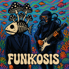 Bonefish & The Bends - Funkosis