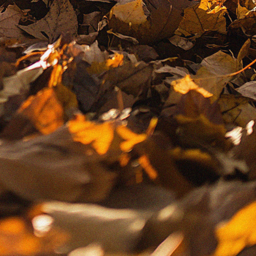 Scratchy Tapes (Royalty Free Slow Jazz)