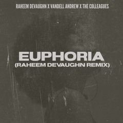Euphoria (Raheem DeVaughn remix)