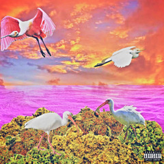 813_Saturn- Double Take ft. DirrdyDan prod. Justron & Sebastionshah [BLEACH ARCHIVE EXCLUSIVE]