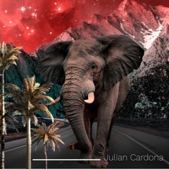 Julian Cardona - Prana (Original Mix)