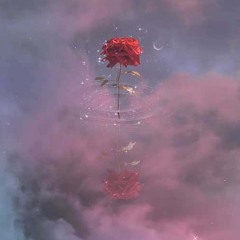 ZoE - SHAWTIE (Prod. MVrc)
