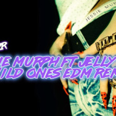 Jessie Murph ft Jelly Roll - Wild Ones EDM Country Dubstep Tech House Remix