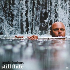 Exclusive Premiere: Tenderlonious "Song For My Mother" (Forthcoming on 22a)