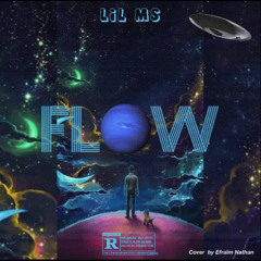 Lil MS - FLOW