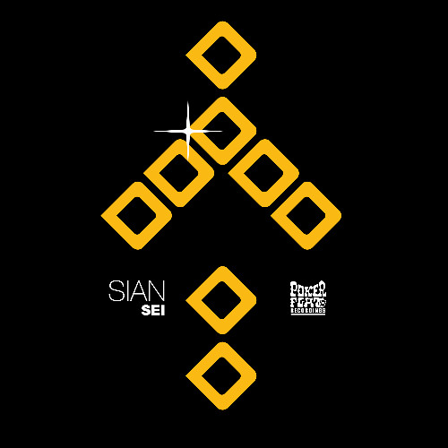 Sei (Steve Bug Mix)