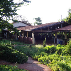 26.11.2025 - Cap. XXIV - Não Coloqueis a Candeia Sob o Alqueire - Carregar a Cruz (3)