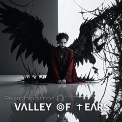 VΛLLEY ʘF †EΛRS