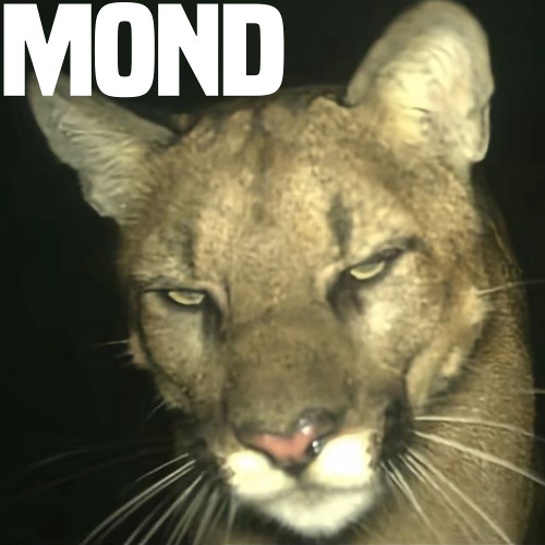 святой апостол - Mond