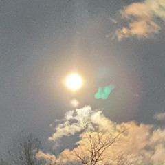 ITS THIS OR DEATH NOW (PROD. NEVER FOREVER)