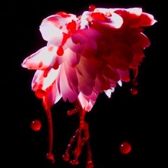 BloodFlowers Entertainment