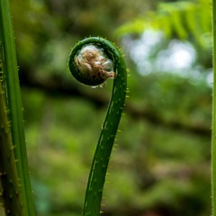 Dj Pulse Session Quarantine, Stay Home, Deep House (4)