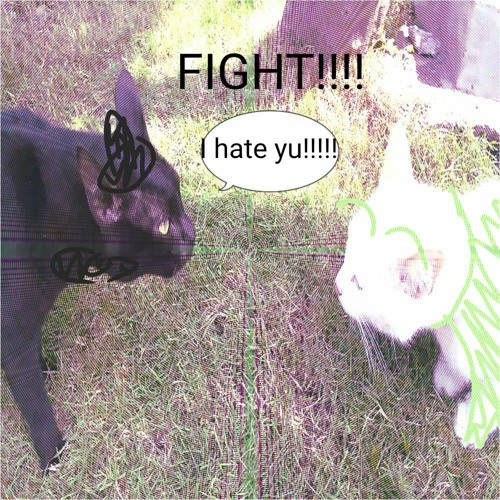 sir doobie vs dr bloop[epic battle!!]