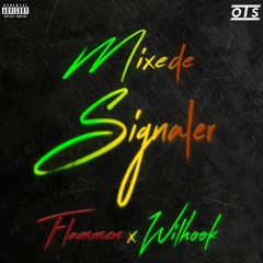 WILHOOK X FLAMMEN - MIXEDE SIGNALER