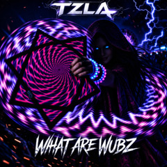 What Are Wubz - TZLA