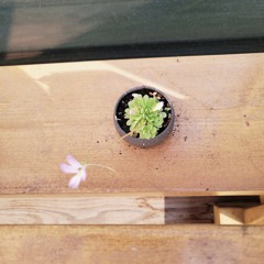 시간을 뚫고 The Time, Penetrated - WELOVE (COVER)