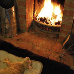 king of the hill/ propane prod me