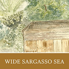 Read PDF 🎯 Wide Sargasso Sea: A Norton Critical Edition (Norton Critical Editions) b