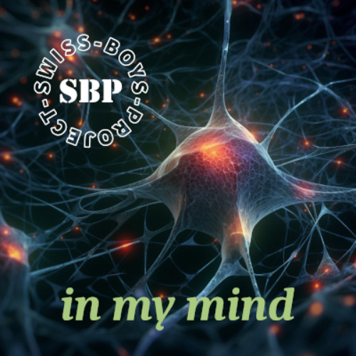 swiss-boys-project - in my mind