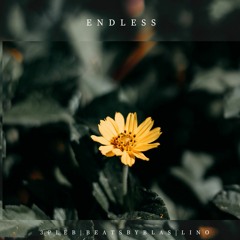 ENDLESS