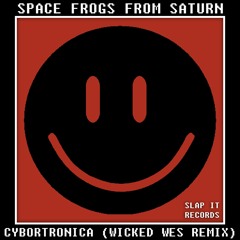 Space Frogs From Saturn - Cybortronica (Wicked Wes Remix)