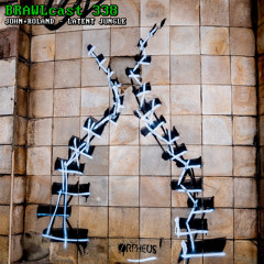 BRAWLcast 338 / John+Roland - Latent Jungle