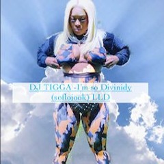 DJ TIGGA - Im So Divinty ( SoFloJook )