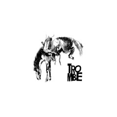 TROMBE-cheval-rodeo-STNT002-2022