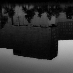 pieces of a broken reality