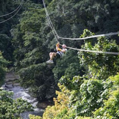 Review Special Price Dual Zipline Sidebyside Adventure In Punta Cana