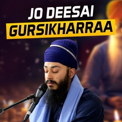 Bhai Rajan Singh - jo deesai gurasikharraa tis niv niv laagau paae jeeo - Birmingham 8.7.23