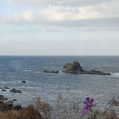 CvT - Feelings